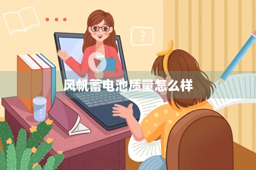 风帆蓄电池质量怎么样