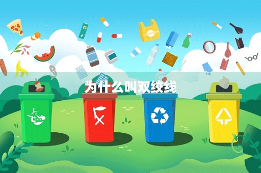为什么叫双绞线