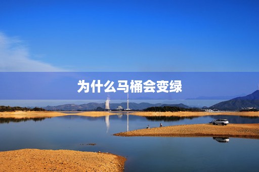 为什么马桶会变绿