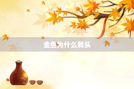金鱼为什么栽头
